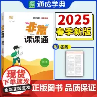 25春初中非常课课通 语文9年级下人教版 通成城学典