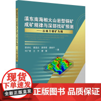 滇东南海相火山岩型铜矿成矿规律与深部找矿预测——以杨万铜矿为例 韩世礼 等 著 地质学专业科技 正版图书籍