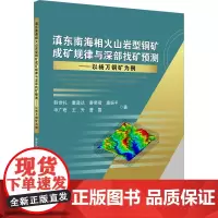 滇东南海相火山岩型铜矿成矿规律与深部找矿预测——以杨万铜矿为例 韩世礼 等 著 地质学专业科技 正版图书籍