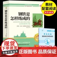 钢铁是怎样炼成的必读正版原著七八年级下册课外书初一7下名著语文书目初中课外阅读书籍经典常谈和刚铁是怎么样练骆驼祥子