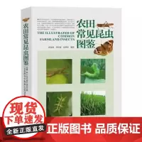 [书]农田常见昆虫图鉴 蒋金炜 河南科学技术出版社 9787534970887书籍