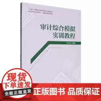 审计综合模拟实训教程