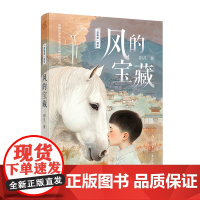 童年星书系:风的宝藏