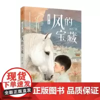 童年星书系:风的宝藏
