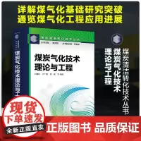 煤炭气化技术:理论与工程