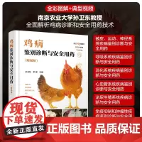 鸡病鉴别诊断与安全用药(附视频)