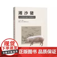 [书]湘沙猪生态养殖及遗传育种新技术//9787571024550湖南科学技术出版社书籍