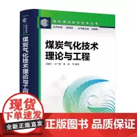 煤炭气化技术:理论与工程