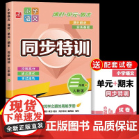 24年新版同步特训语文三年级上册 课时作业本数 人教版 小学二三年级上册 课本教材 一课一练专项训练配套测试卷 每日一练