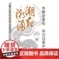 潮起潮涌(乡镇企业史,从宗汉看中国,重新发现中国乡村振兴的路径和内生动力,财经作家吴晓波作序)