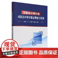 [正版]注册会计师行业司法会计审计鉴定理论与实务 王丽梅/李芳/冉祥俊/李晓霞 中国财政经济出版社 9787522331