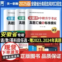 当当正版 2025年版安徽省中职生升学辅导[试卷]语文数学英语教材配套历年真题模拟卷 套装共3本