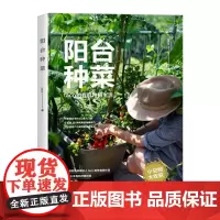 阳台种菜 taco 浙江科技出版社