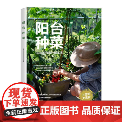 阳台种菜 taco 浙江科技出版社