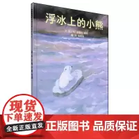 浮冰上的小熊