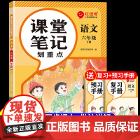2025课堂笔记六年级下册语文人教版新教材 小学6年级下册课本教材全解2024黄冈随堂同步练习册每日一练阅读专项训练新版