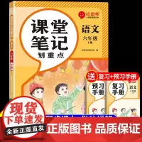 2025课堂笔记六年级下册语文人教版新教材 小学6年级下册课本教材全解2024黄冈随堂同步练习册每日一练阅读专项训练新版