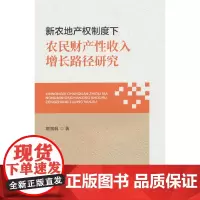 新农地产权制度下农民财产性收入增长路径研究