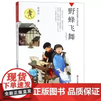 野蜂飞舞/黄蓓佳倾情小说系列