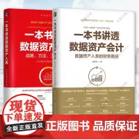 2册 一本书讲透数据资产会计 数据资产入表的财务路径 戚笑天 一本书讲透数据资产入表 战略方法工具与实践 王琰 机械工业