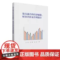 数实融合的经济赋能、财务评价及管理路径