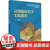 高级临床药学实践教程:丁选胜 编 大中专高职医药卫生 大中专 人民卫生出版社