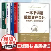 5册 一本书讲透数据资产会计 戚笑天+一本书讲透数据资产入表 王琰+数据资产入表100问+数据资产管理 周开乐+数据资产