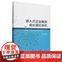 嵌入式企业集群成长演化研究