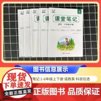 2025春学霸课堂笔记一年级下册语文部编人教版 小学课本教材同步讲解教材全解预习复习资料学霸课堂笔记智慧仁