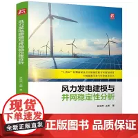 风力发电建模与并网稳定性分析 赵浩然 王鹏