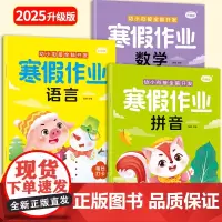 幼小衔接全脑开发 寒假作业 拼音 数学 语言(全3册)