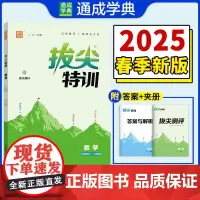 25春初中拔尖特训 数学9年级下·人教版 通成城学典