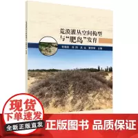 荒漠灌丛空间构型与“肥岛”发育