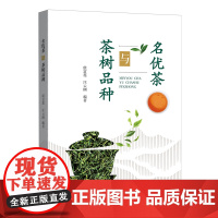 名优茶与茶树品种