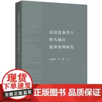 信息化条件下特大城市犯罪治理研究
