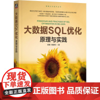 大数据SQL优化:原理与实践 陈鹤 杨国栋