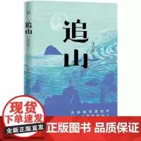 追山(一个县城数学老师的困顿与突围)