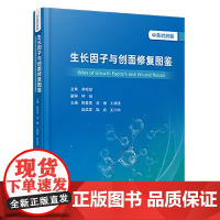 生长因子与创面修复图鉴 中英对照版 陈善亮 肖健 王建波 等主编 典型个案介绍急性创面修复 9787523519653