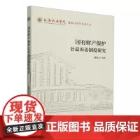 国有财产保护公益诉讼制度研究