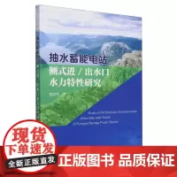 抽水蓄能电站侧式进/出水口水力特性研究