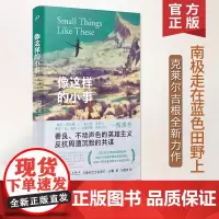 像这样的小事 南极走在蓝色田野上作者克莱尔吉根全新力作 入围布克奖短名单 马爱农翻译 爱尔兰文学 人民文学出版社