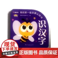 我的第一套启蒙认知书 识汉字