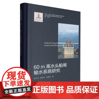 60m高水头船闸输水系统研究