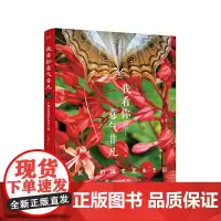 我看你意气非凡:手机街拍探索昆虫王国