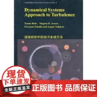 湍流研究中的动力系统方法