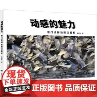 动感的魅力 慢门追随拍摄法解析 吴新生 著 摄影理论 艺术 中国民族摄影艺术出版社