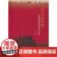 审美空间凝视:中国西部电影研究文粹