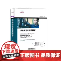 IP路由协议疑难解析