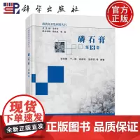 ]磷石膏 第13卷 余军霞 丁一刚 张战利 张华丽等编著磷资源开发利用丛书 9787030787941 科学出版