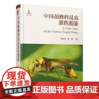[2024新书]**胡蜂科昆虫原色图鉴 李廷景 陈斌 **胡蜂科系统分类图鉴 **胡蜂科昆虫分亚科分属分种检索表专业昆虫